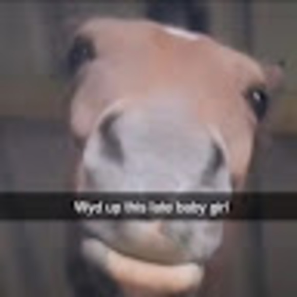 Meet your Posher, Asimplehumanbeing - Picture 1 of 1